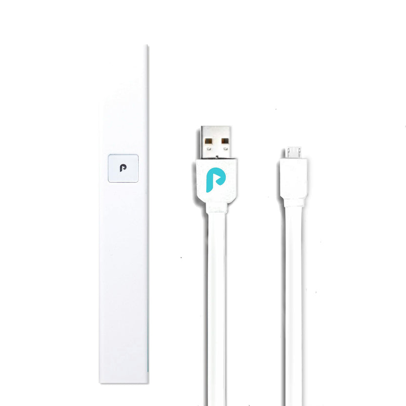 PLAY Battery - Standard White USB-C