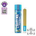 Jeeter XL | Quad-Infused - Blueberry Kush