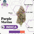 TIER 1 FLOWER - PURPLE MARTIAN - INDICA