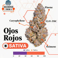TIER 1 FLOWER - OJOS ROJOS - SATIVA