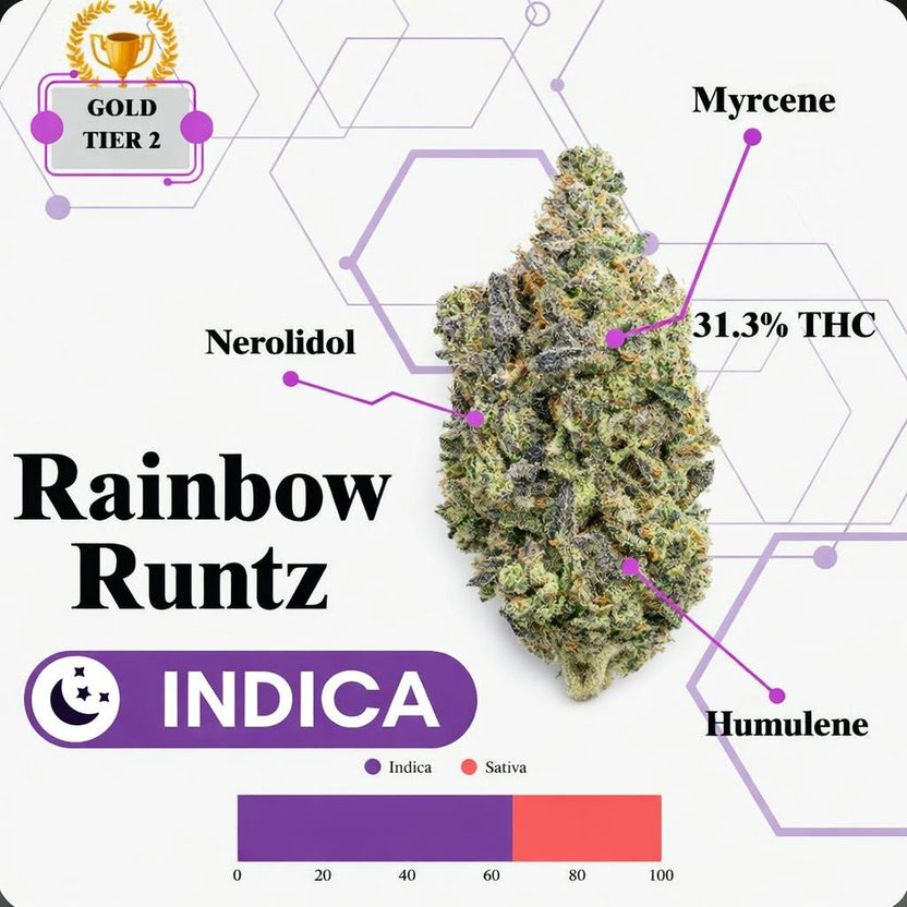 TIER 2 FLOWER - RAINBOW RUNTZ - INDICA