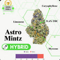 TIER 2 FLOWER - ASTRO MINTZ - HYBRID
