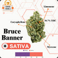 TIER 2 FLOWER - BRUCE BANNER - SATIVA