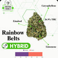 TIER 3 FLOWER - RAINBOW BELTS - HYBRID