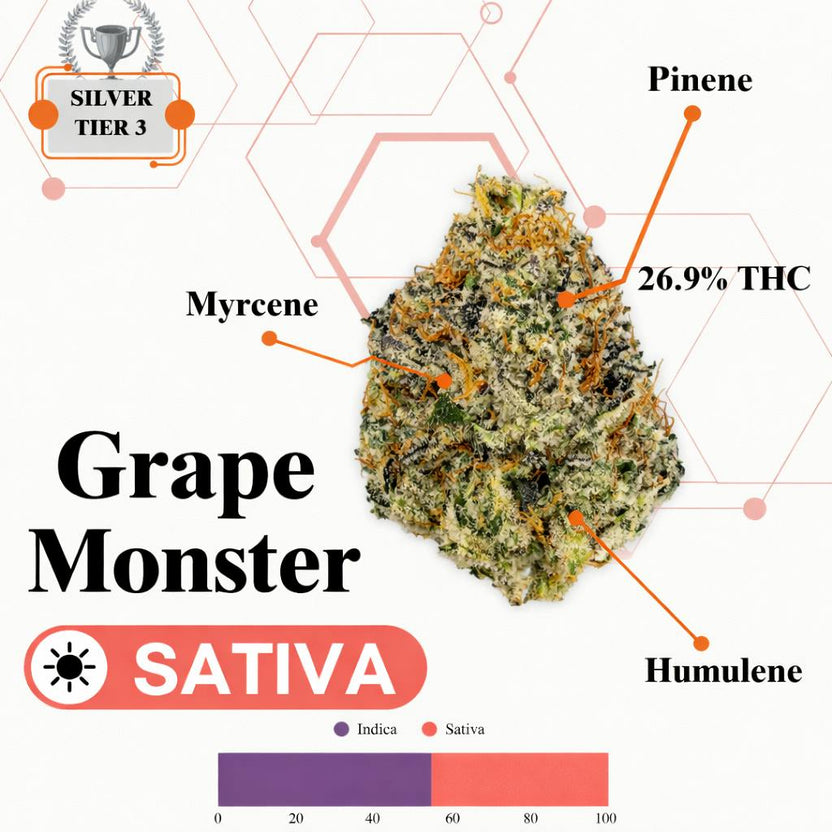 TIER 3 FLOWER - GRAPE MONSTER - SATIVA