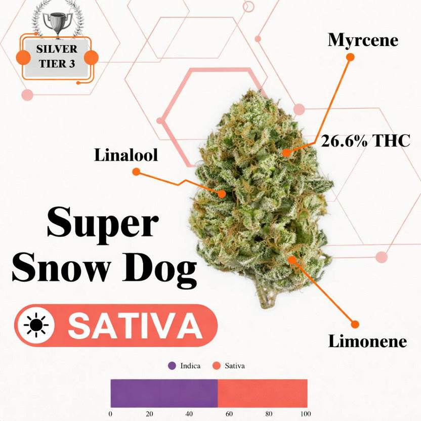 TIER 3 FLOWER -SUPER SNOW DOG - SATIVA