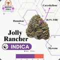 TIER 4 FLOWER - JOLLY RANCHER - INDICA