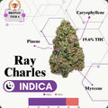 TIER 4 FLOWER - RAY CHARLES - INDICA