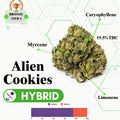 TIER 4 FLOWER - ALIEN COOKIES - HYBRID