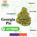 TIER 4 FLOWER - GEORGIE PIE - HYBRID