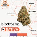 TIER 4 FLOWER - ELECTROLIME - SATIVA