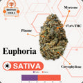 TIER 4 FLOWER - EUPHORIA - SATIVA
