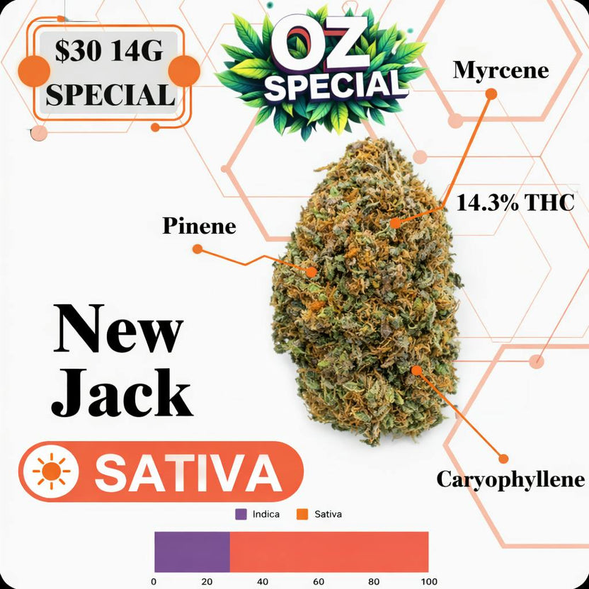 OZ SPECIAL - NEW JACK - SATIVA