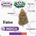 OZ SPECIAL - FATSO - INDICA