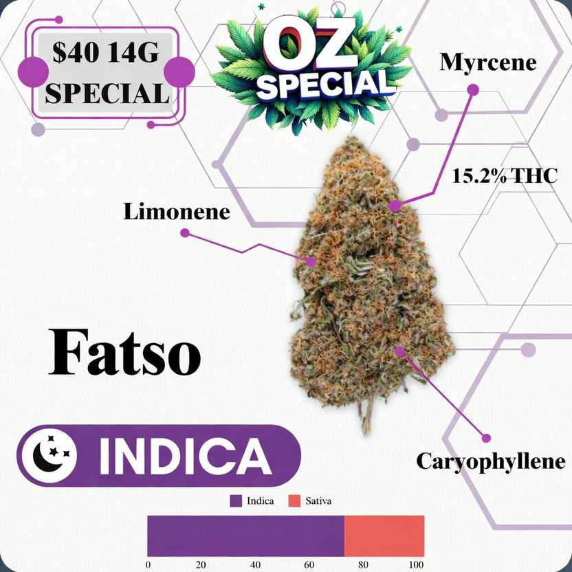 OZ SPECIAL - FATSO - INDICA
