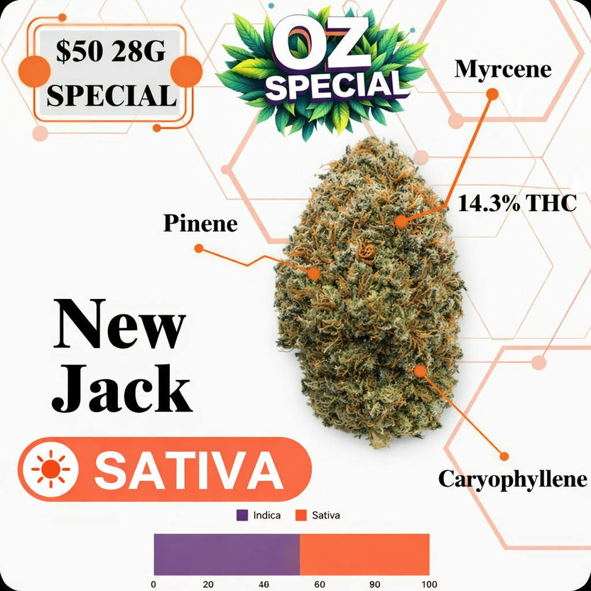 OZ SPECIAL - NEW JACK - SATIVA